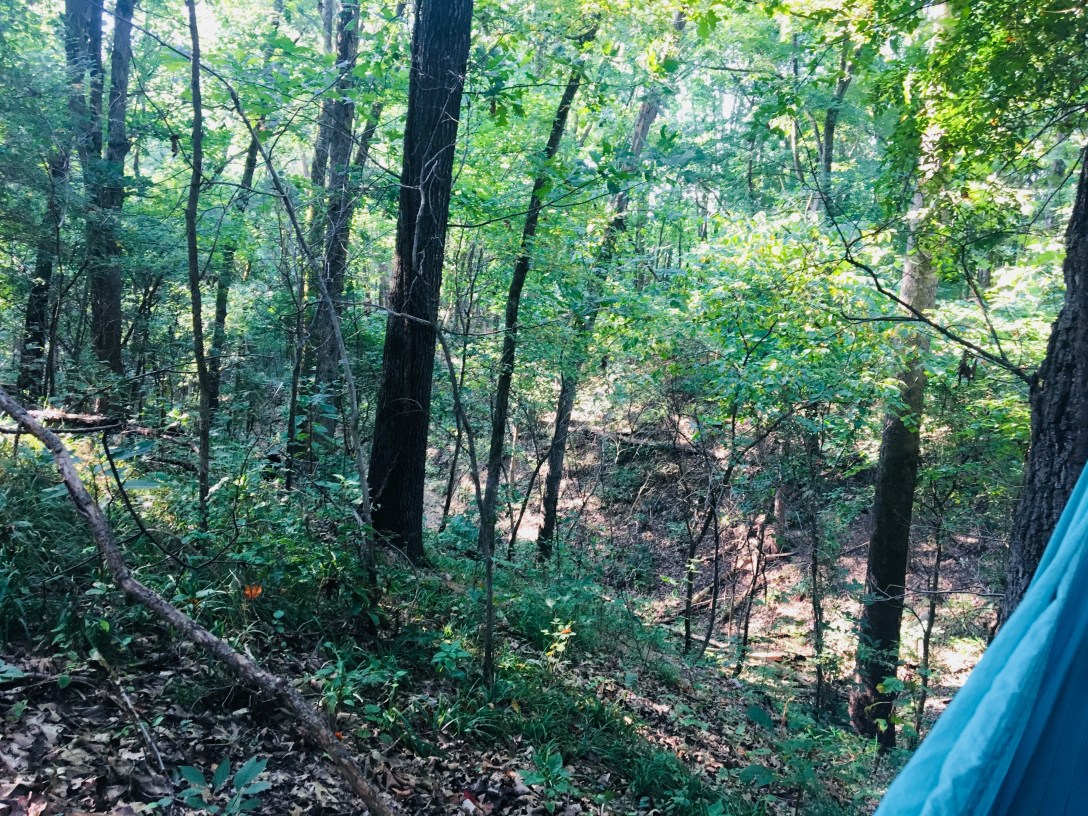 34D50A22-6830-4C0A-918E-DE04A96F9A17