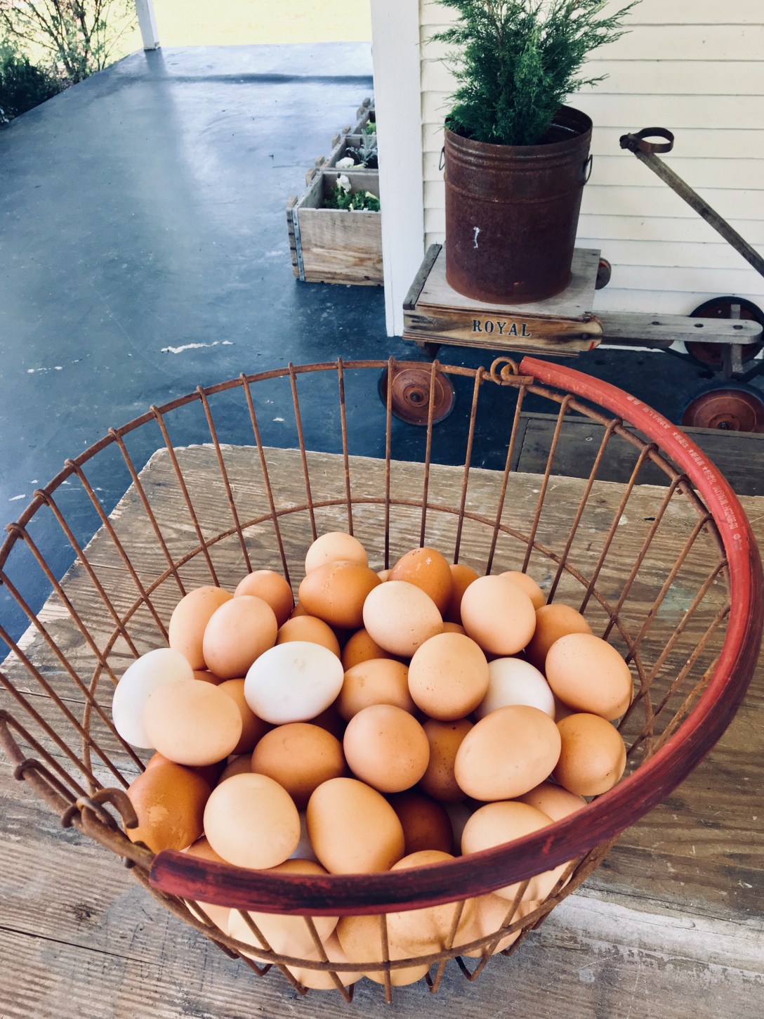 500B5786-D43B-4E08-942E-53EB14B2F229