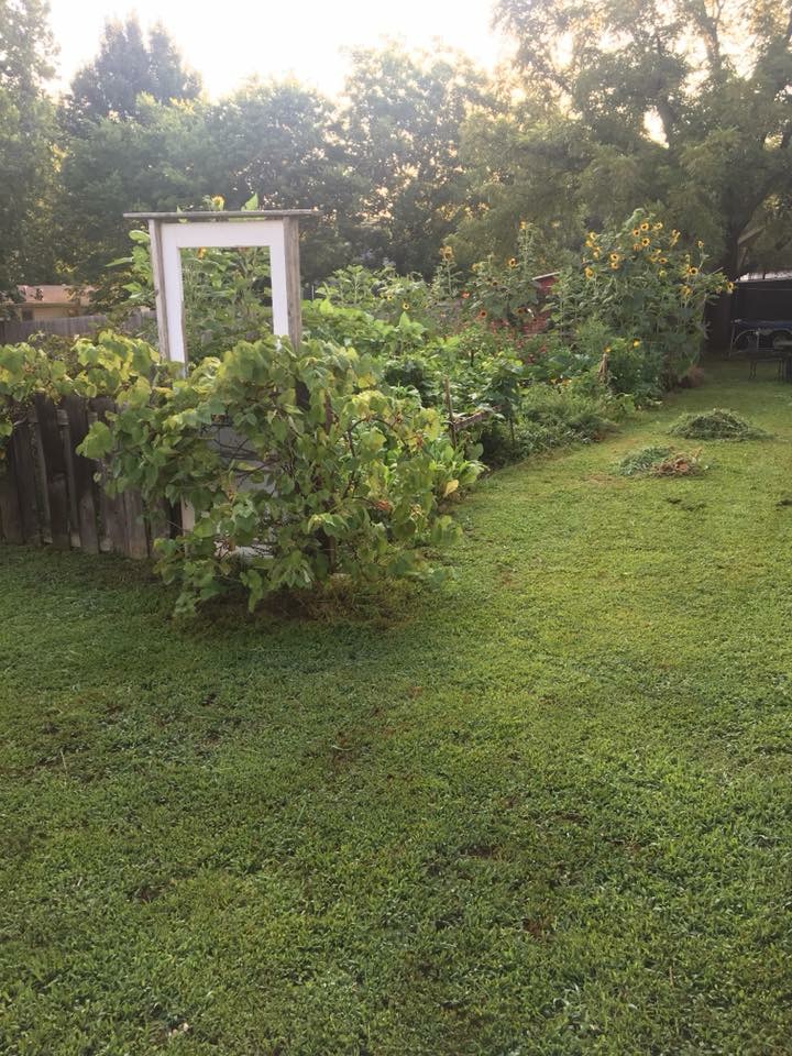 88F4F256-E608-4EA2-8472-1CFB0AC1994D