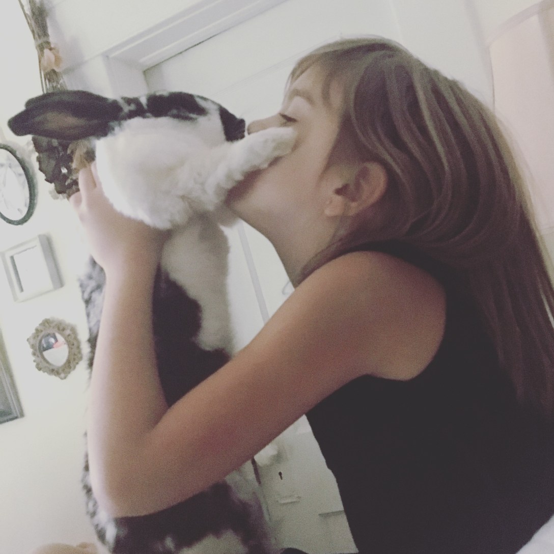 C5423537-71C2-479E-B8F6-A1CA7913DE4F