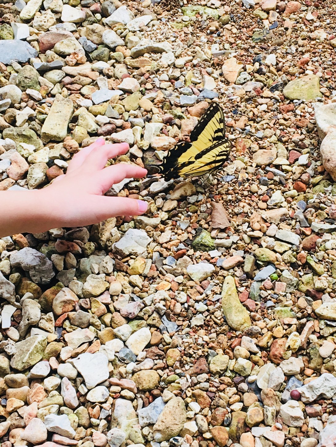 D74E7221-AE79-47BE-8553-1B16306D8903