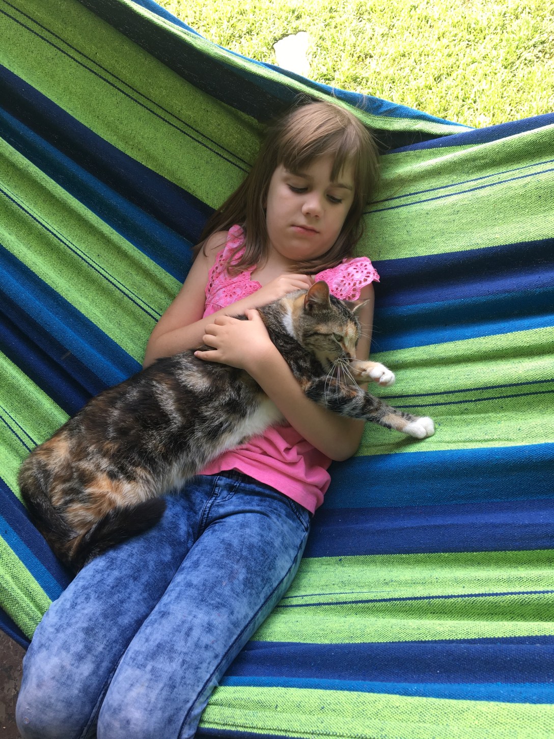 DEEBB70E-AF1A-409B-87DF-808D7CBFC2B0