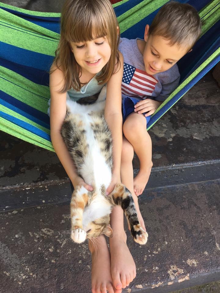 FEC3C425-9AA4-4C11-857A-EAD02DABBFB3