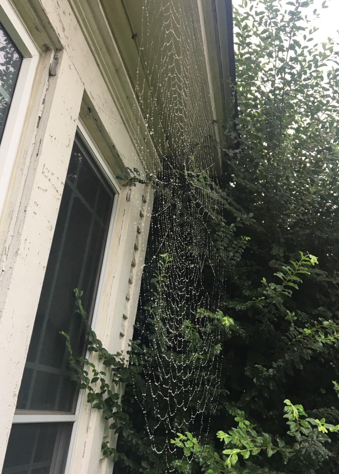 13A98078-2ED1-4207-8874-5544C2068781