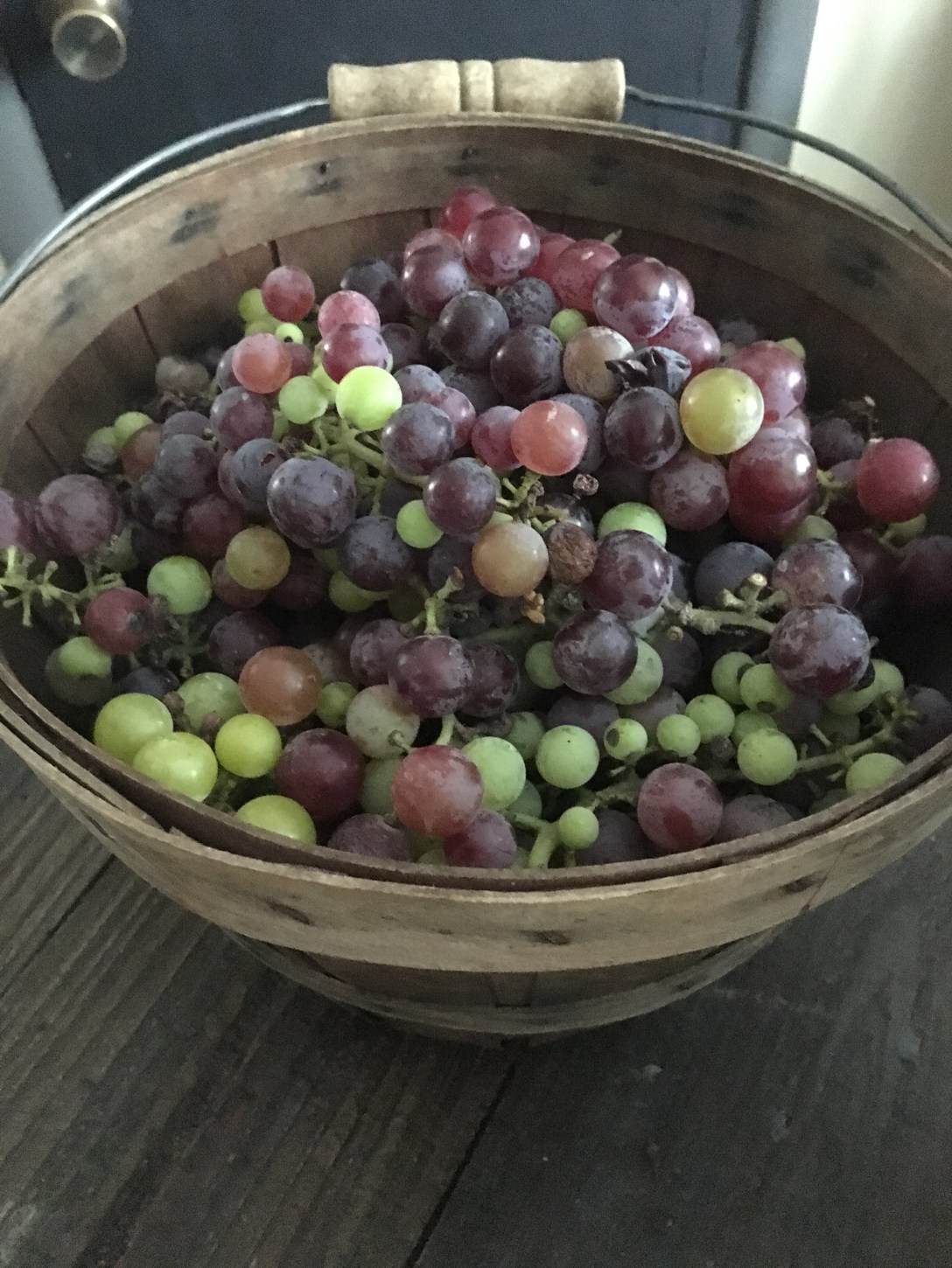 1791CA0C-7F5A-4F42-983D-E2BF9E4D500B