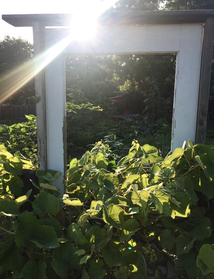 461995B2-47FE-41AF-B482-FF584C89EA75