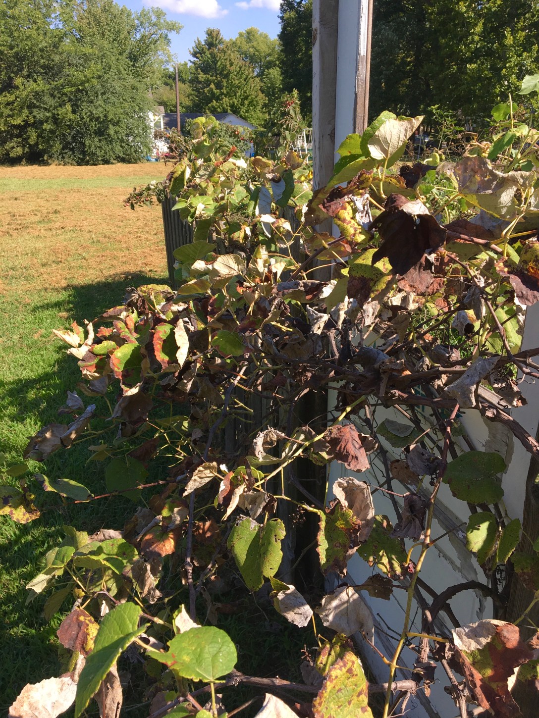 5857EBA6-86DF-43D2-B343-20825DA37A72