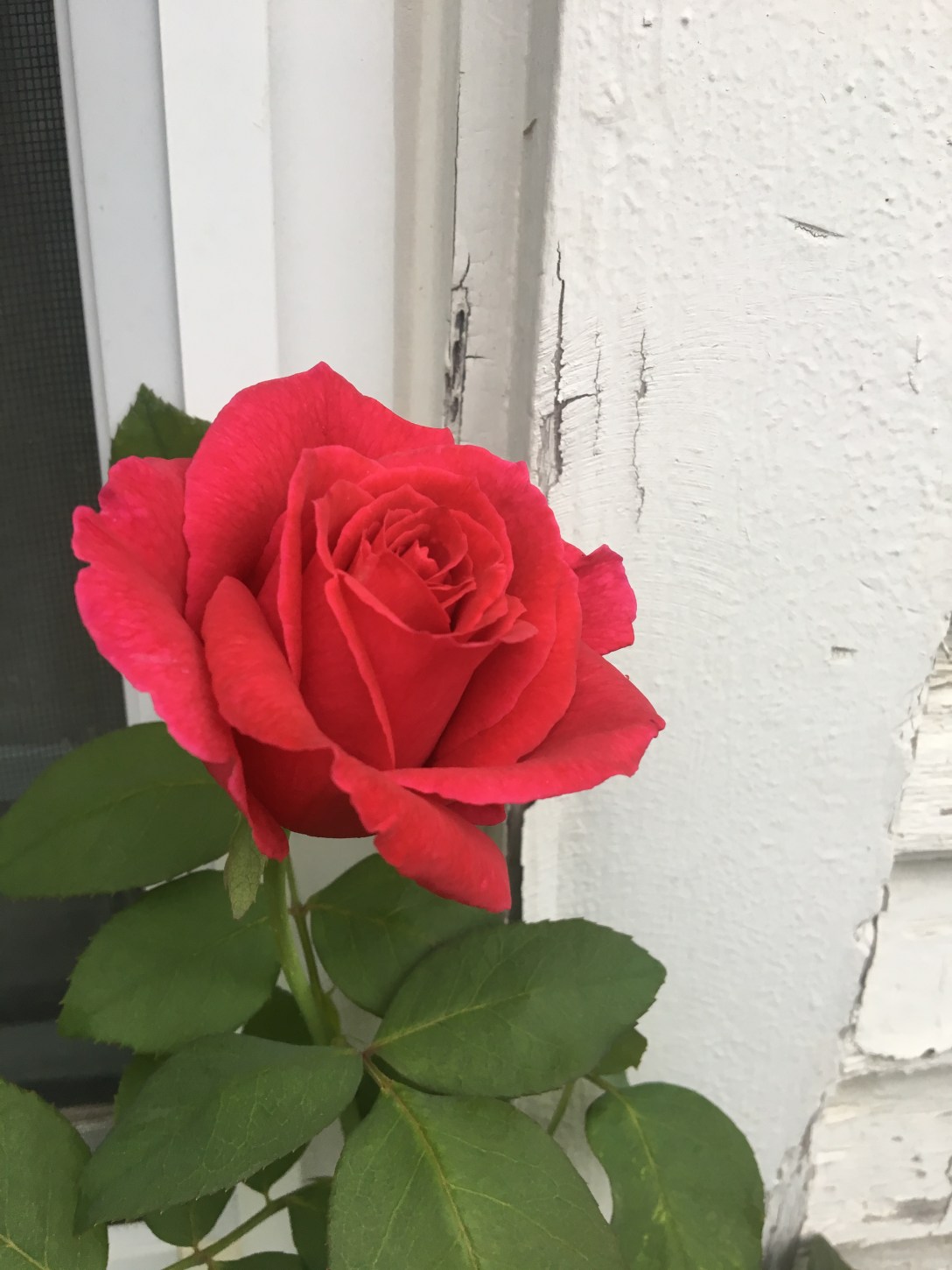 BC3CA192-96D6-4FCF-B40D-012CC8AC351E