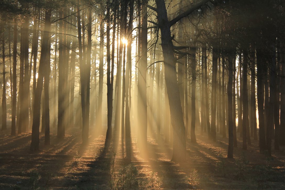 valeriy-andrushko-406379-unsplash