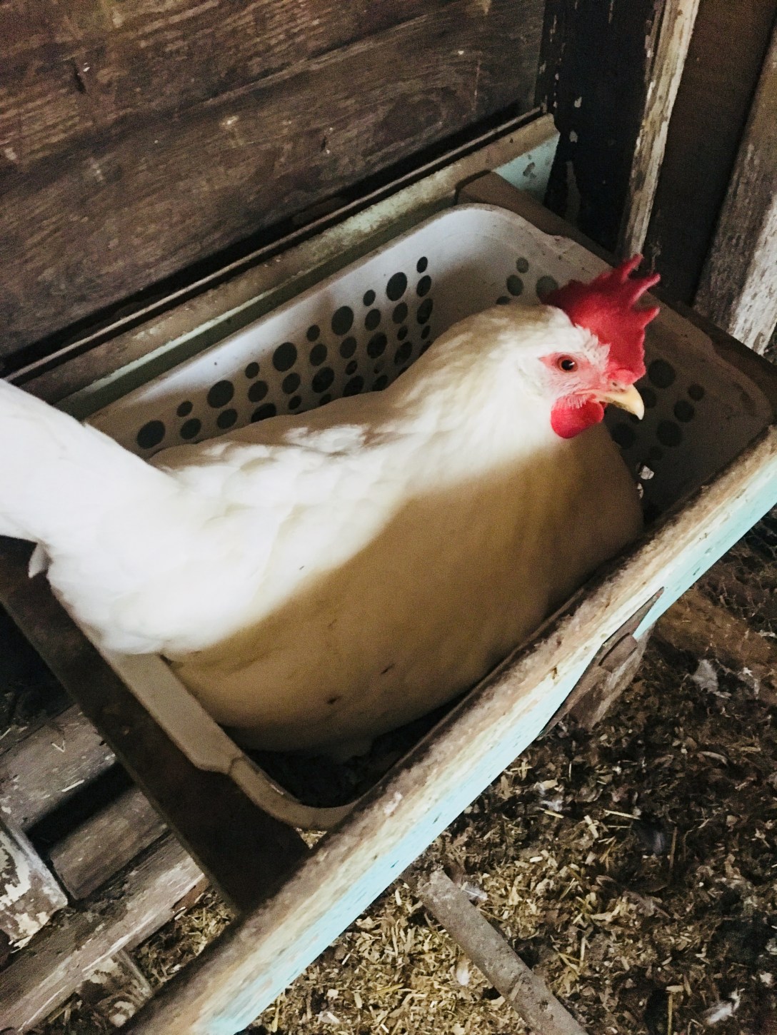 800AEF41-6CBE-450A-9335-620C1E3B15F0