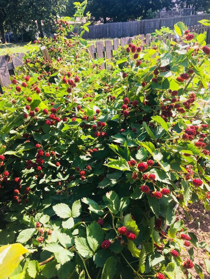 399e9016-71ba-4528-a2c2-ee6214d96761