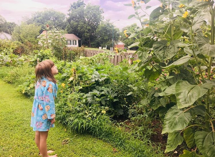 f649ccfe-c558-4dba-bd15-6a9ccd806096