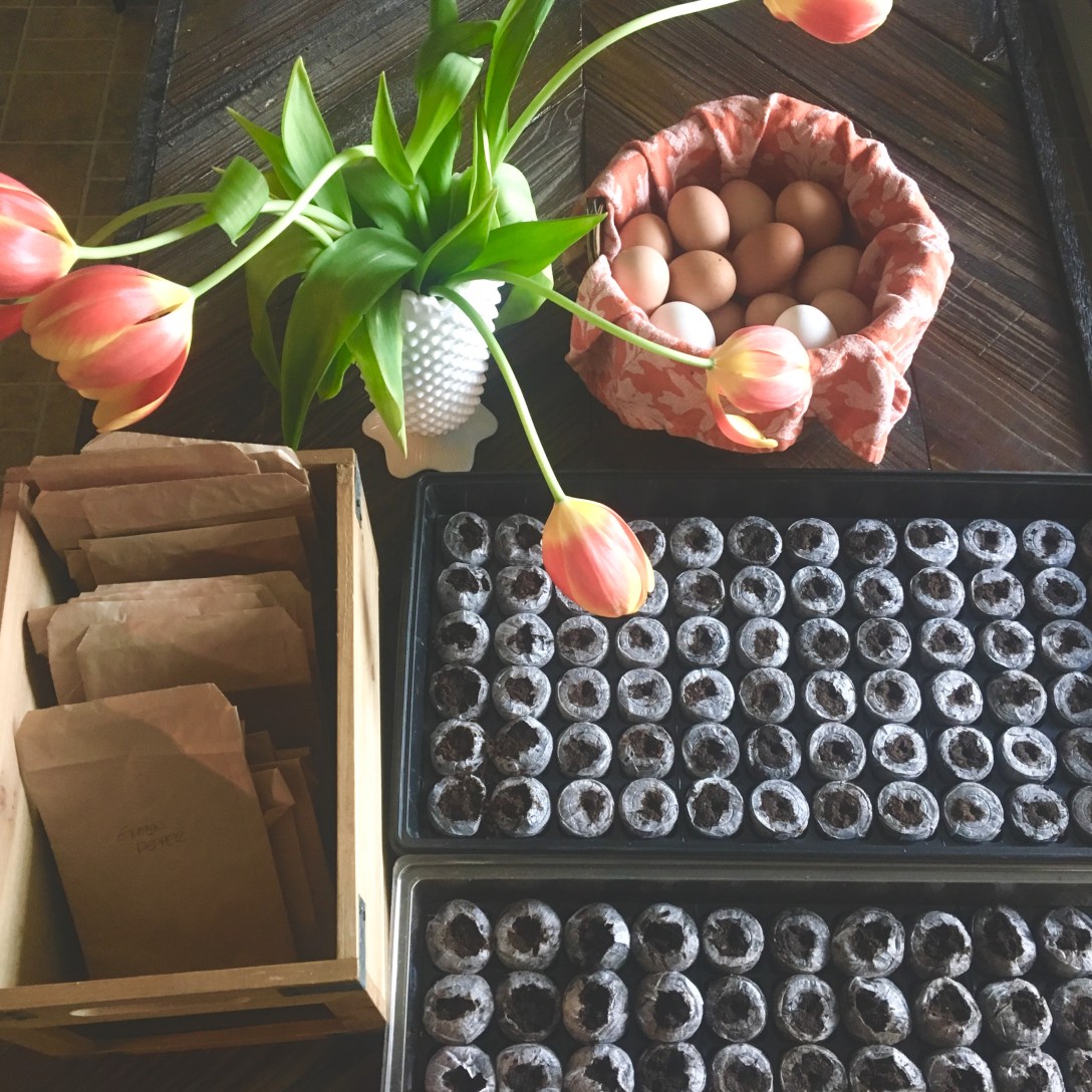 2BBF7C6F-670E-4468-96E3-1DC96BCD70DC