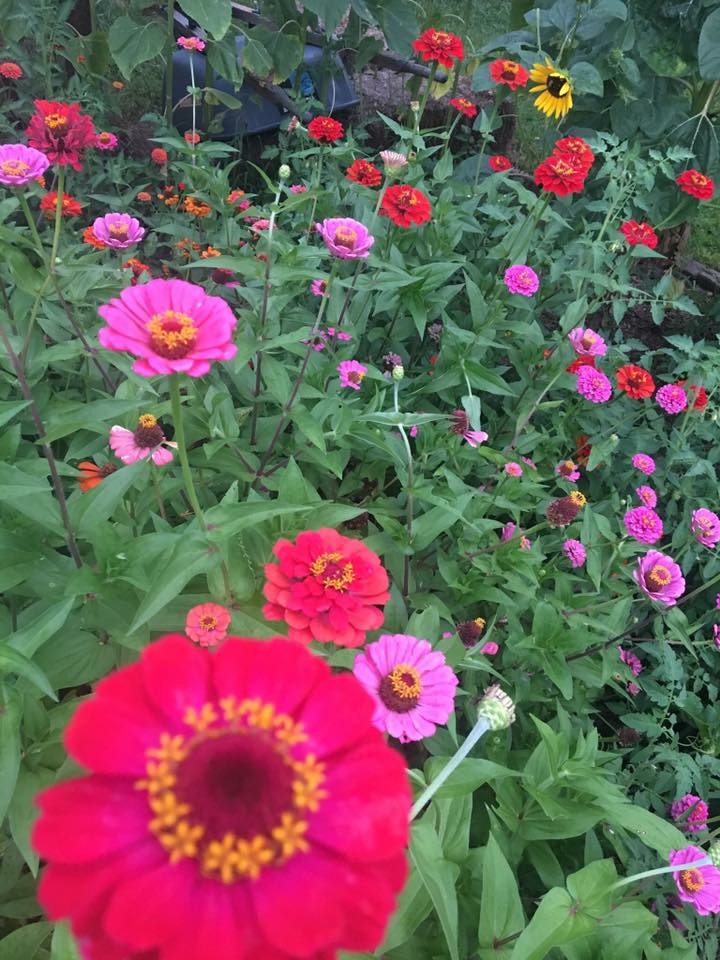 8E01CF90-1EF7-4CE1-876B-FAEAF4D415FF