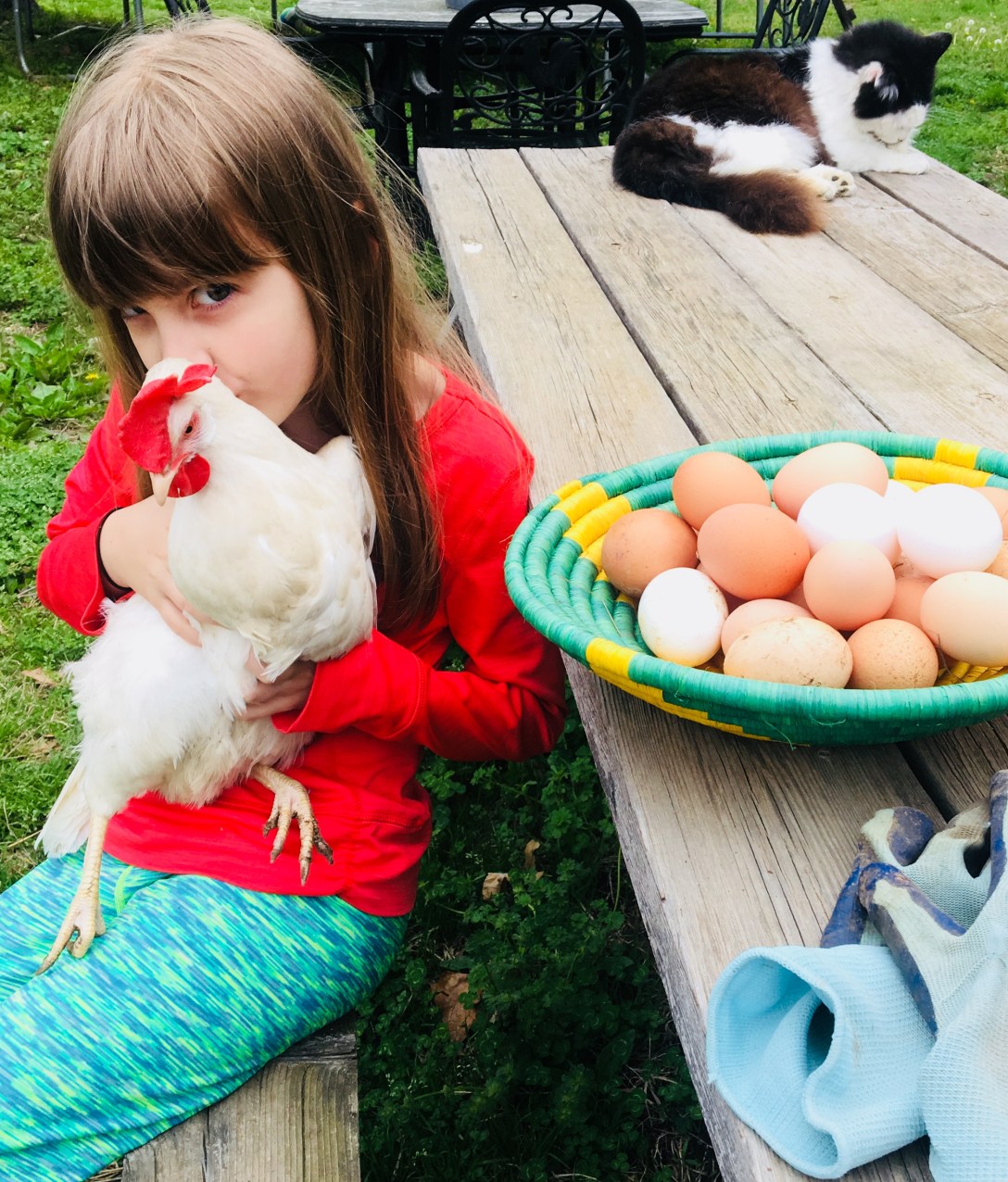 52B65B7B-1A6C-4792-A0E8-D5170B74A374