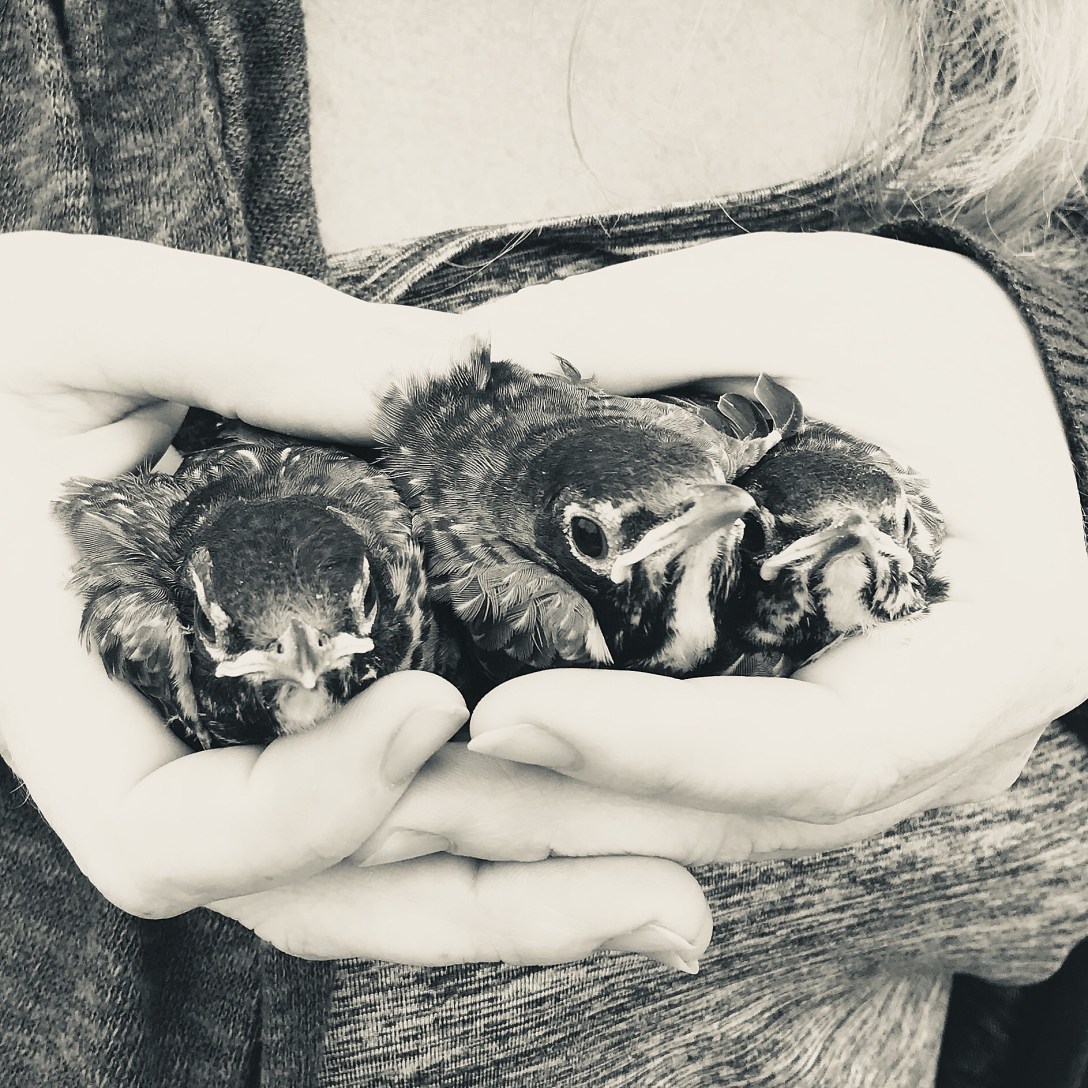 90905A2B-9C56-4C80-BA9D-A4581BD1C9CC