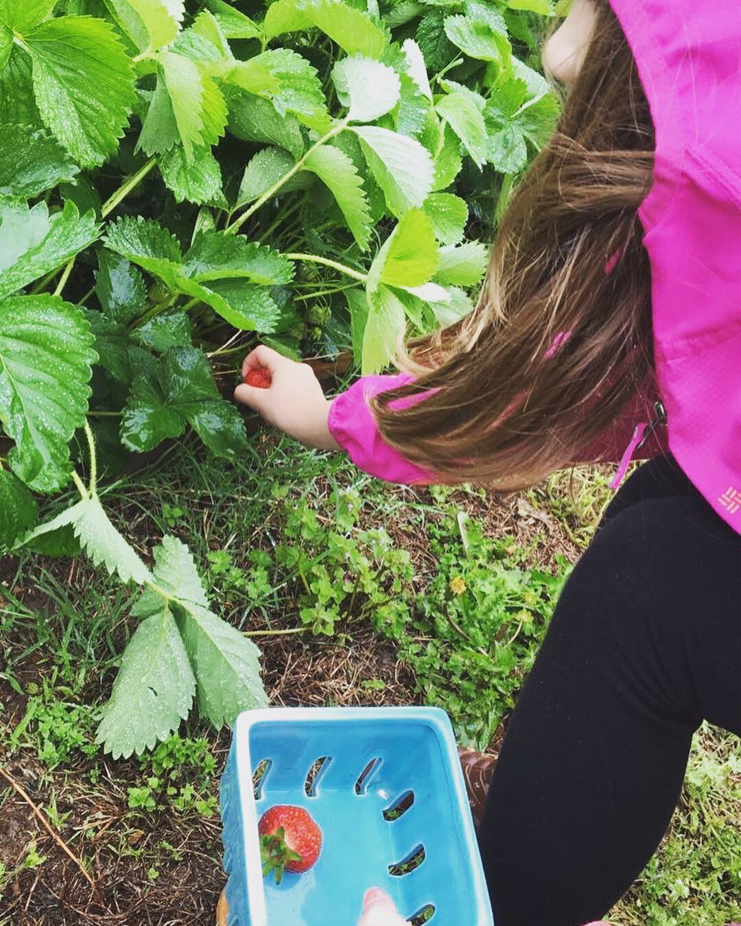 A0DE5011-2387-42E9-80E3-7B4164EFDE9F