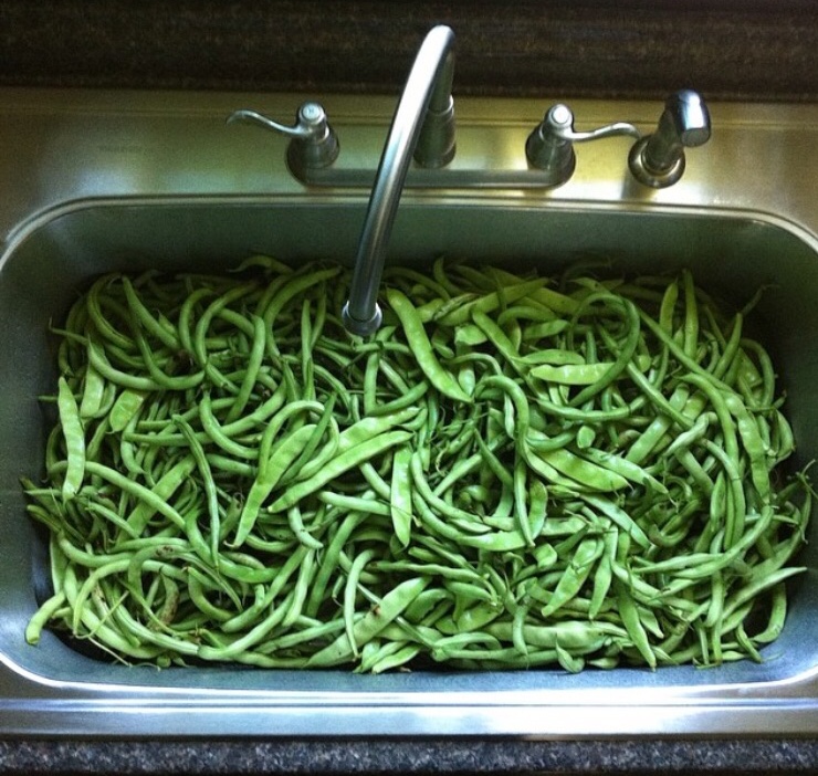 CF1FB700-90B2-47B3-B32C-76CCFBD75F30