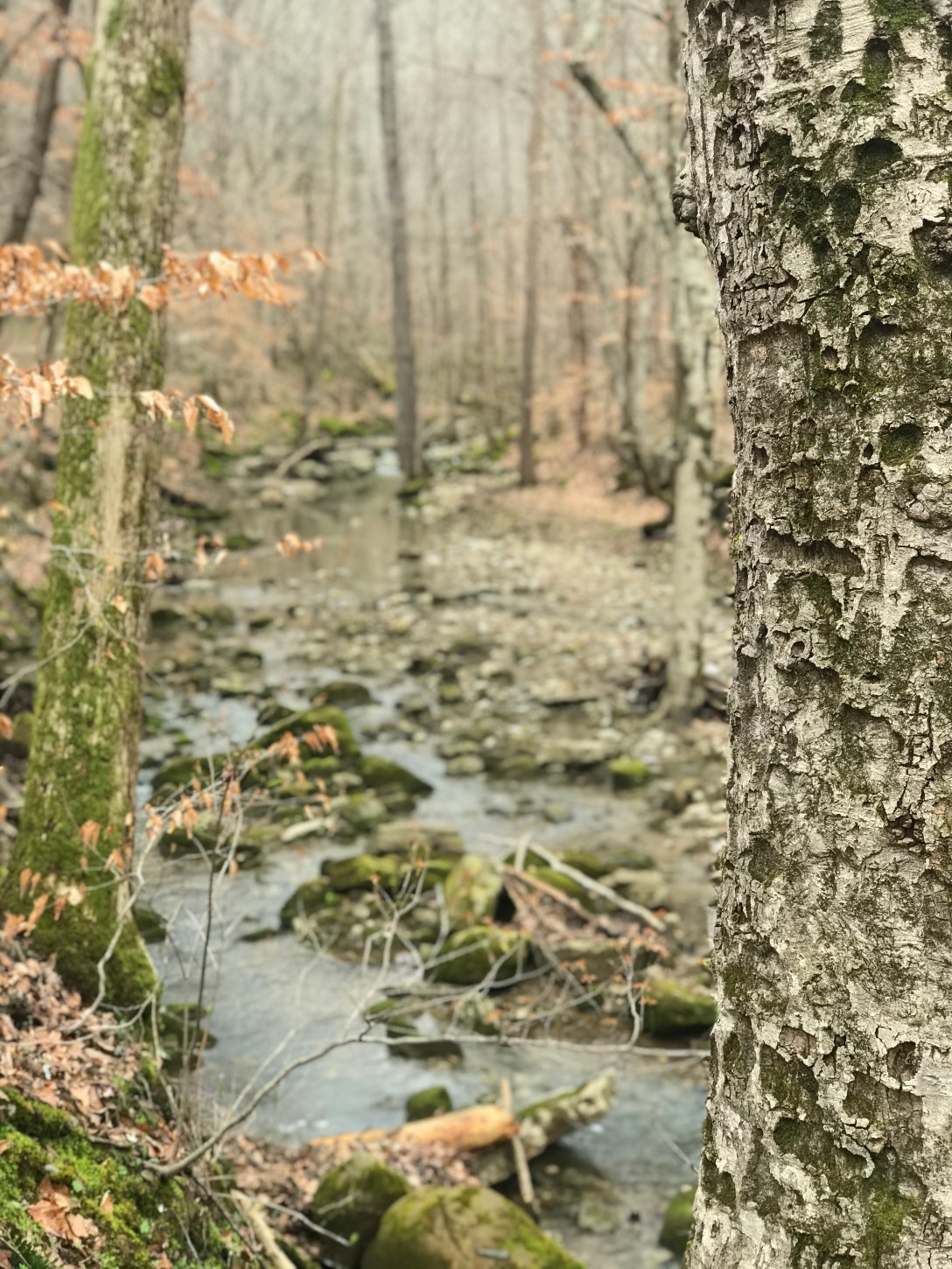 084E59ED-FCD1-4A75-8B62-3385588E8FA9