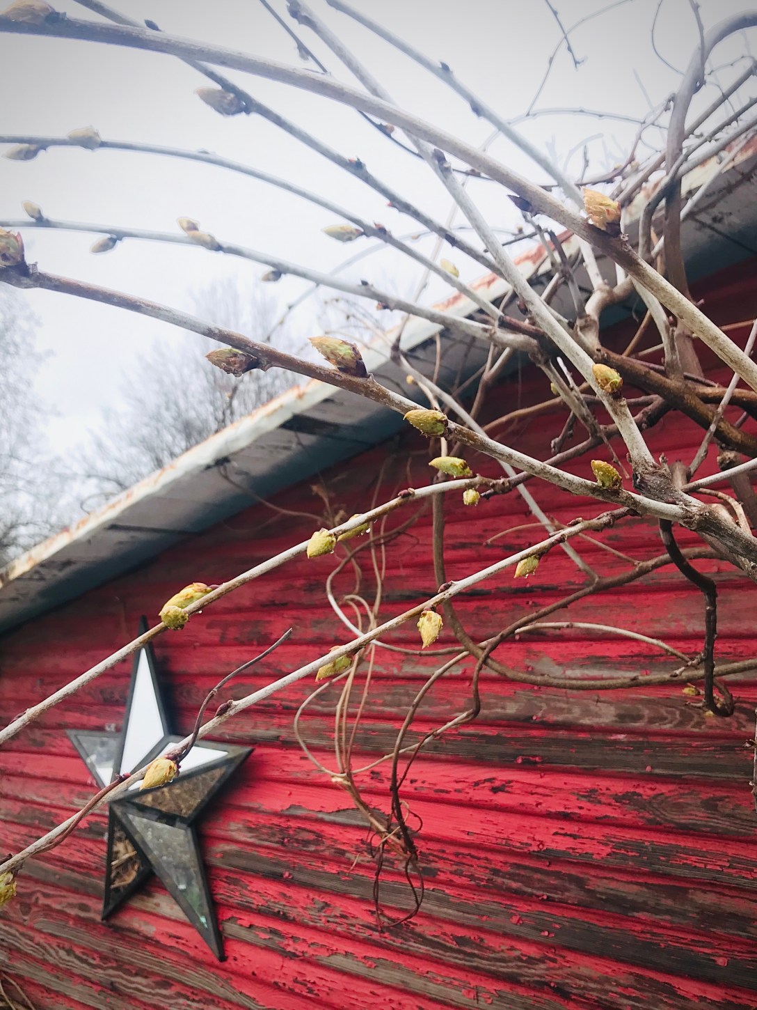 22B067E2-B68E-4B92-BA8B-326BC835A3E6