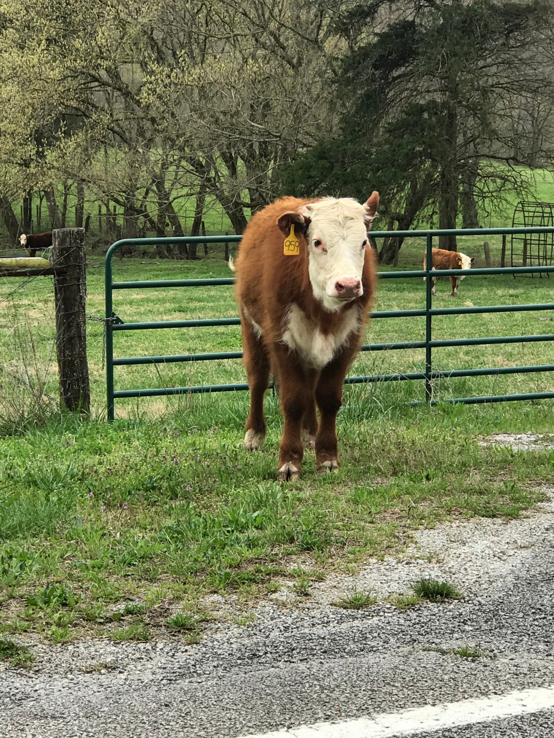 6EB44FD7-E3F8-4320-816D-35C4F937B62E