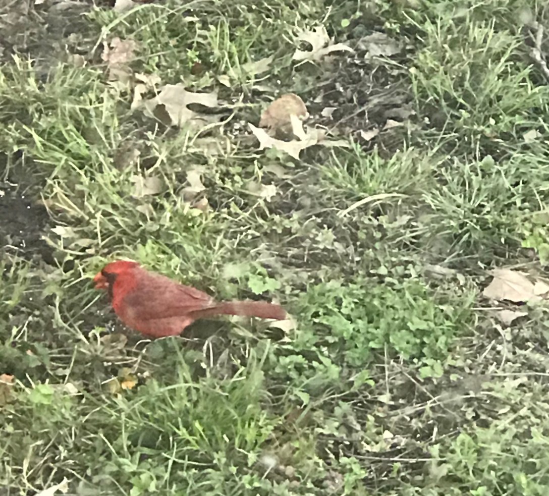 808B1263-C49C-443D-818F-599B7635F4F4