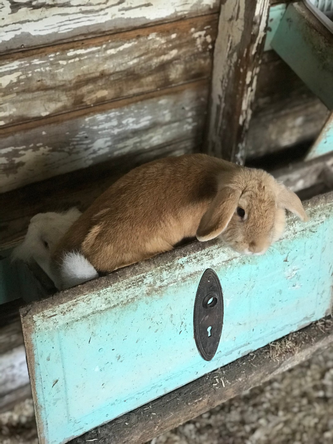 83A4AC3D-74A0-45B4-A89A-AD6277F1531F