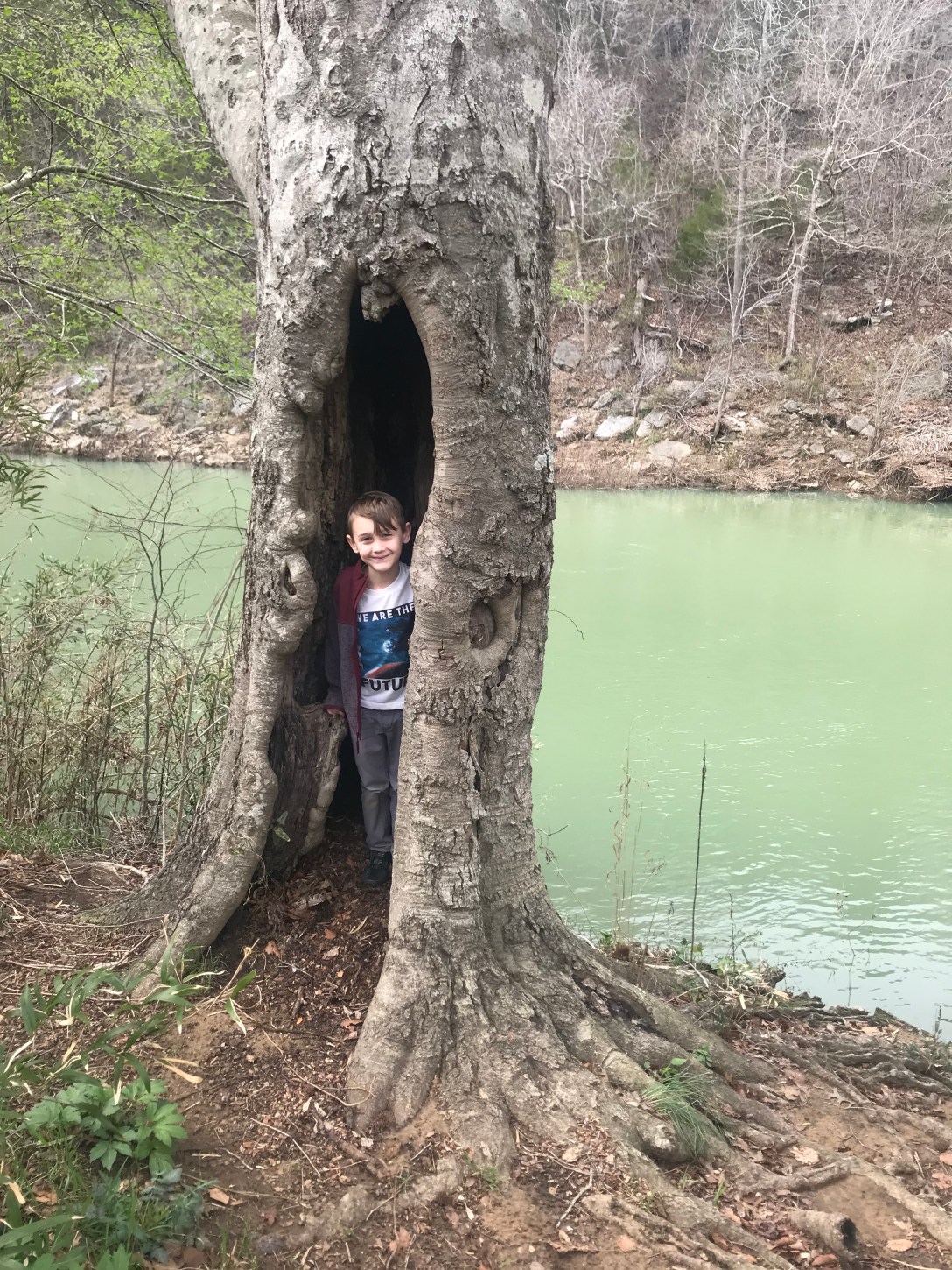 89F2187C-330C-4EAD-BAC0-4DC0F117DB21