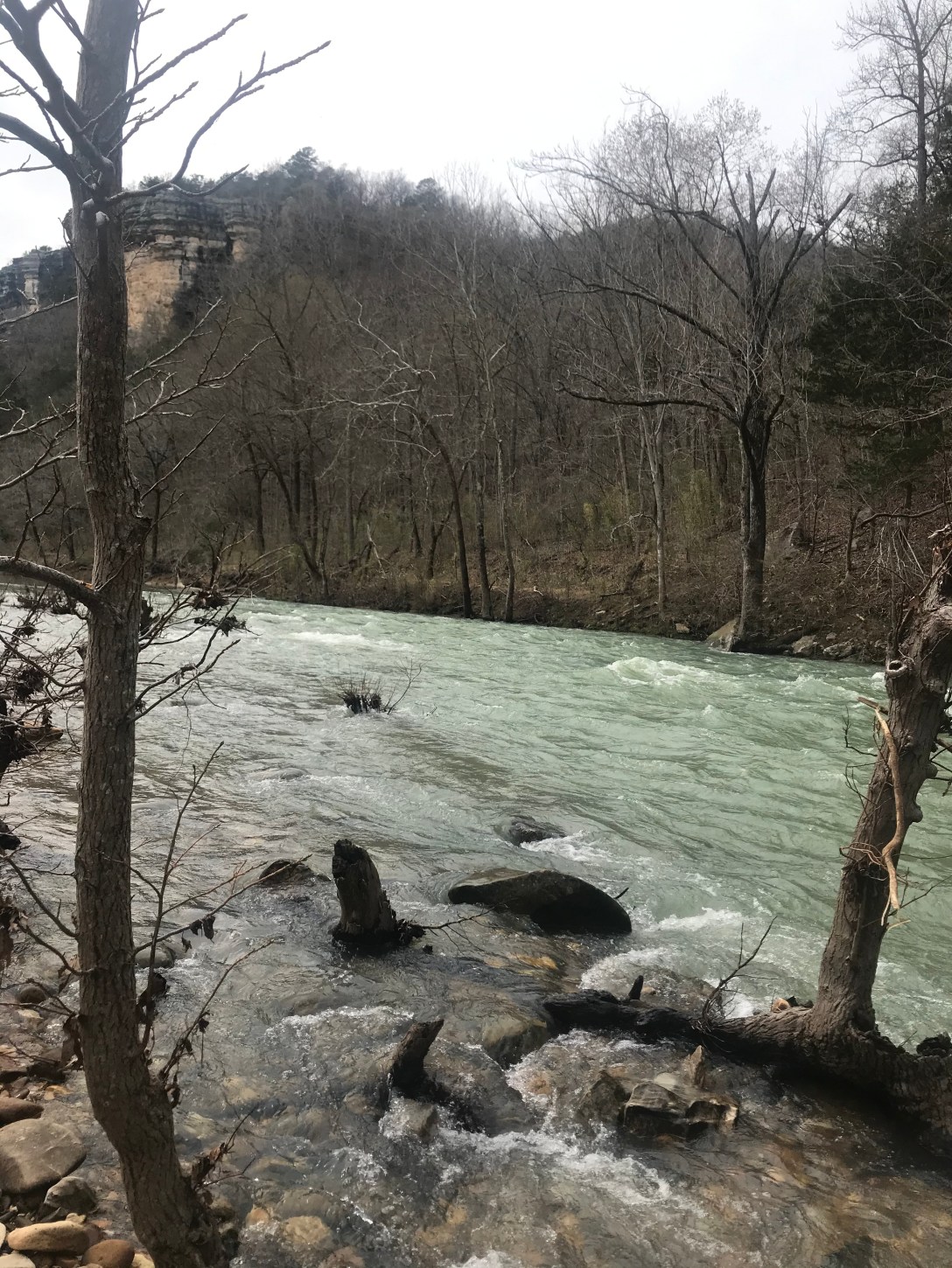 A8C01833-AACD-4A32-95C3-EC4E1B337912