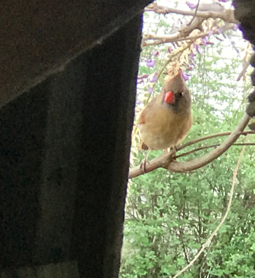 CFAE6297-7670-400F-A90F-01E9E0B83D93