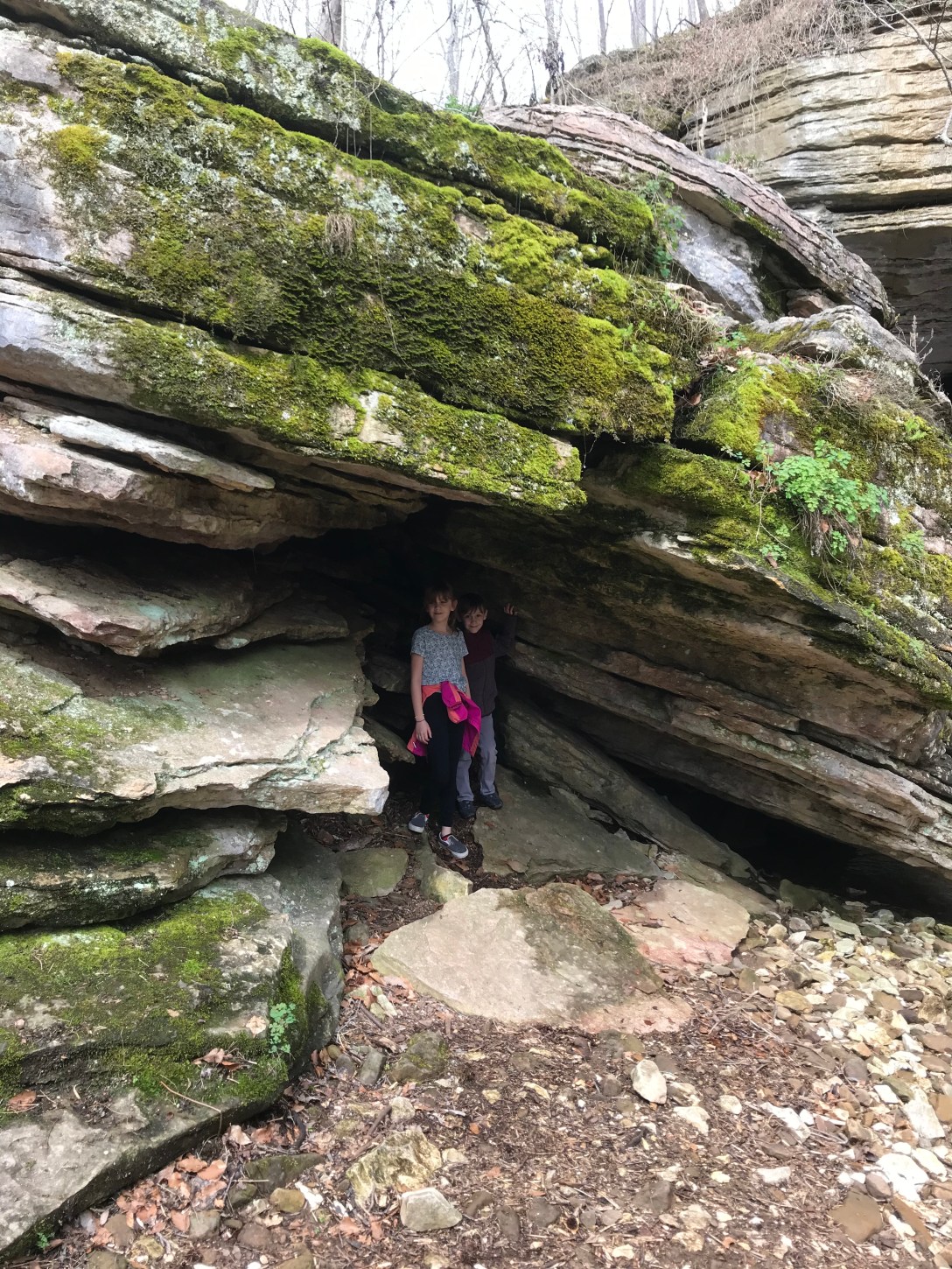 D9B051EF-B9D7-46F0-AECF-C32712825134