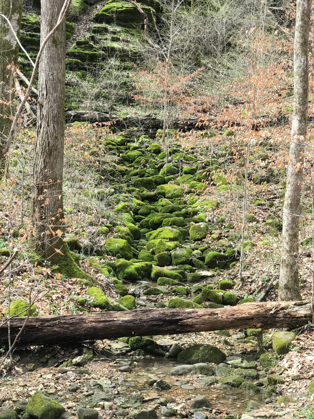 FB5D1991-6D50-41F4-822B-485885C576F9