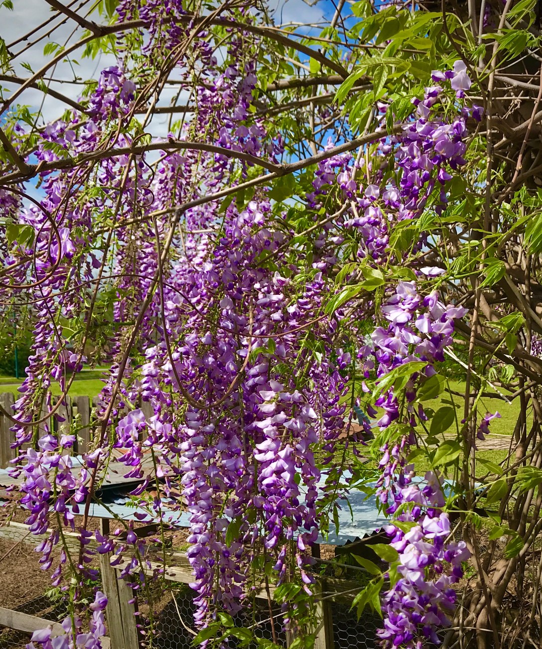 55E9E0DE-BC9B-43E4-BC77-6FB7562CEDCE