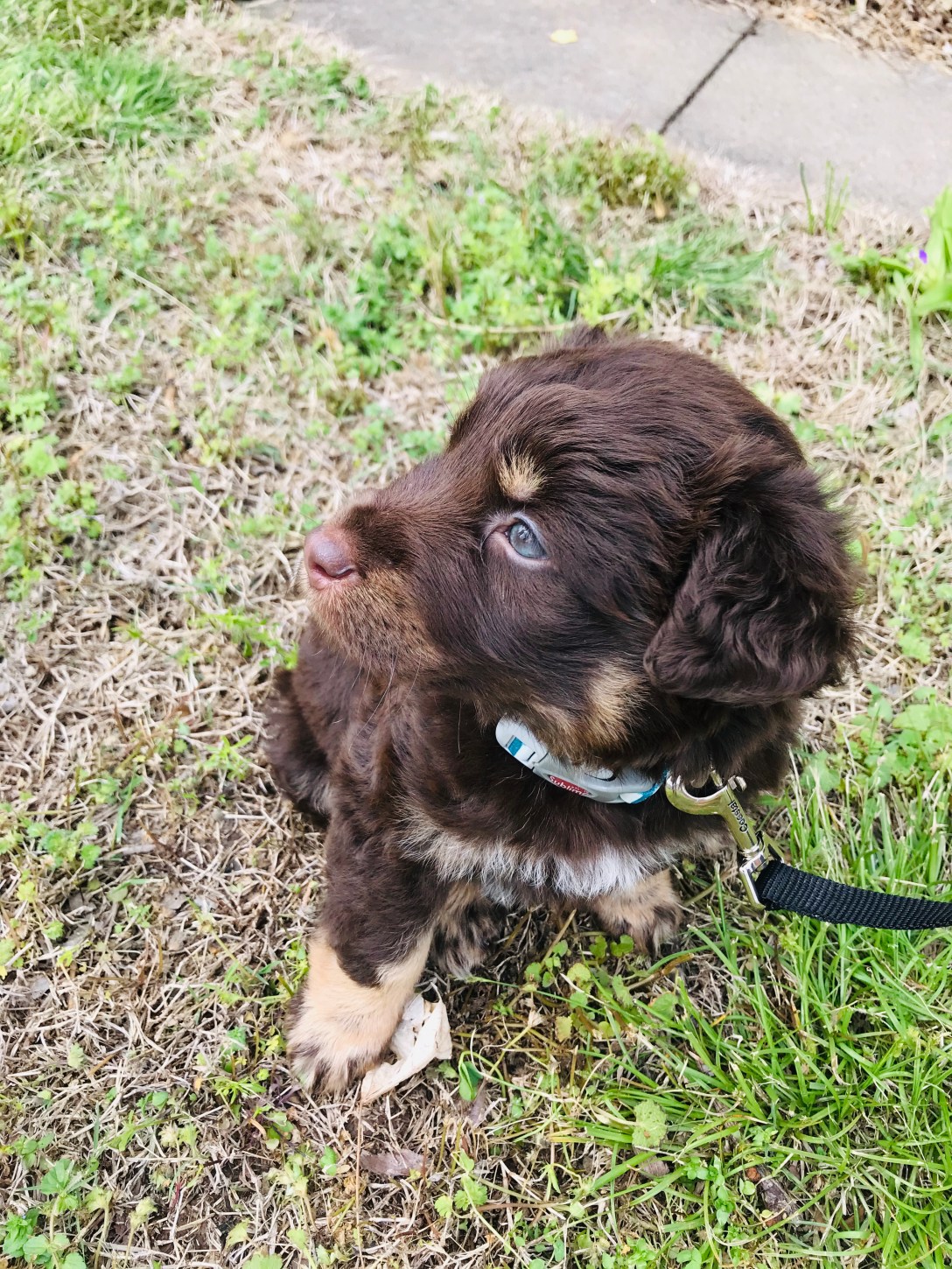 788616A1-15FE-406C-BFE4-6D1D5BBFB8DF