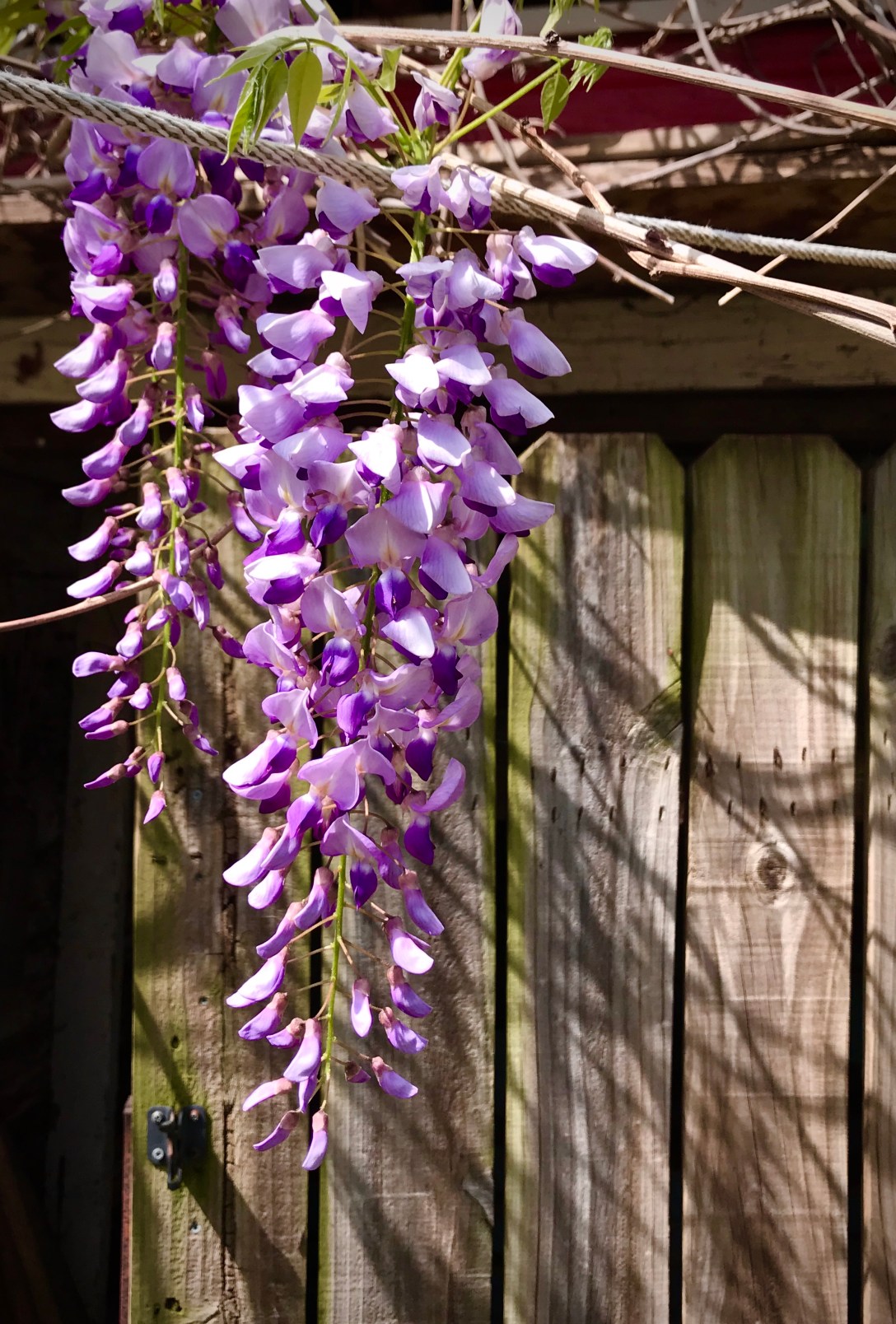 83661316-3445-486D-B9E4-F5AF805191A3