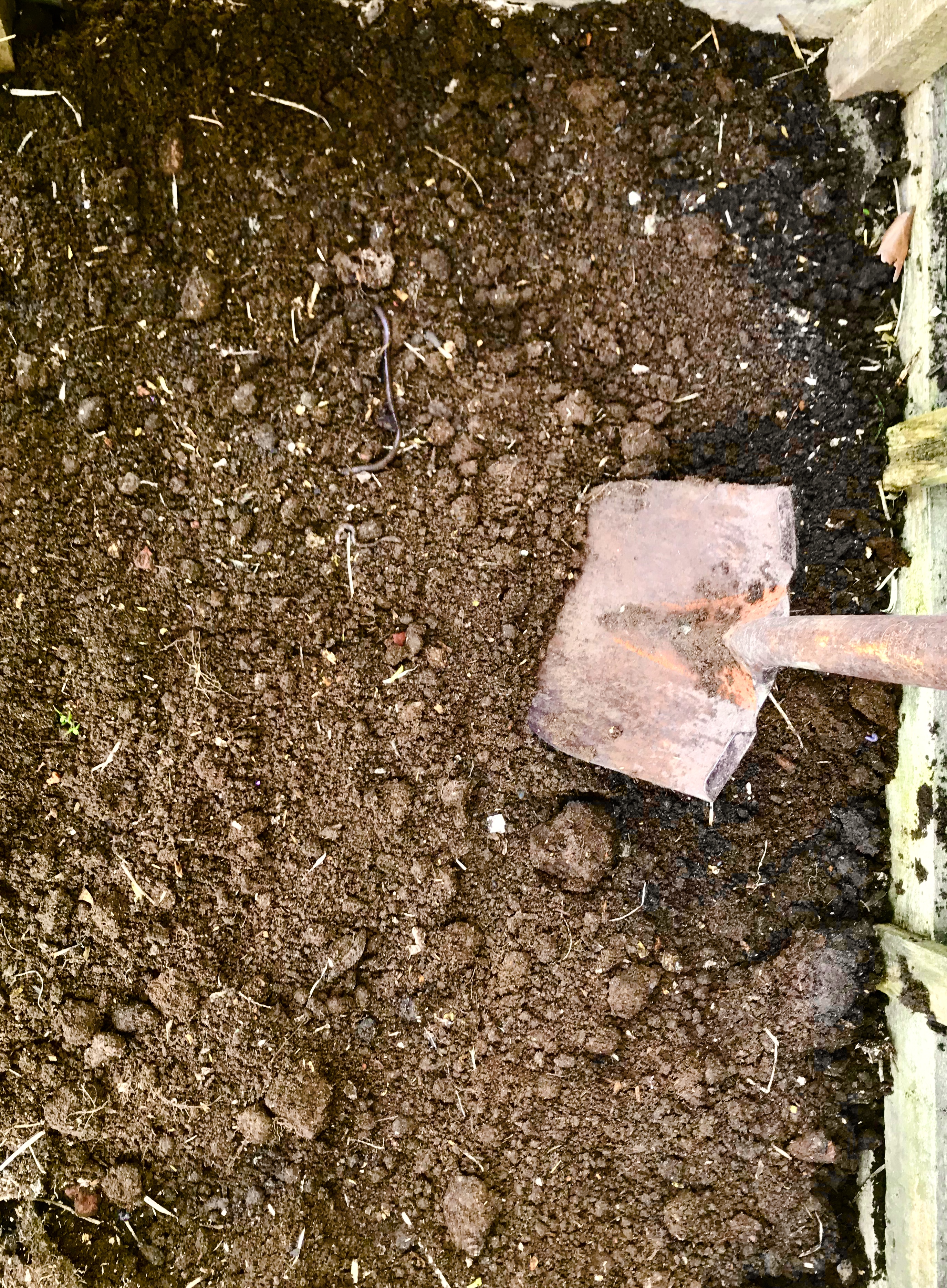 BCAC9D77-EAA9-45D0-A793-A2268479AC76