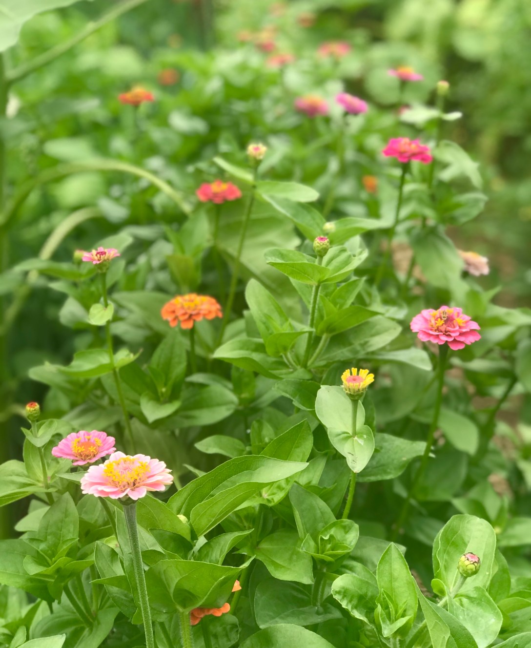 14162889-25CD-466F-87A4-A6D497319A24