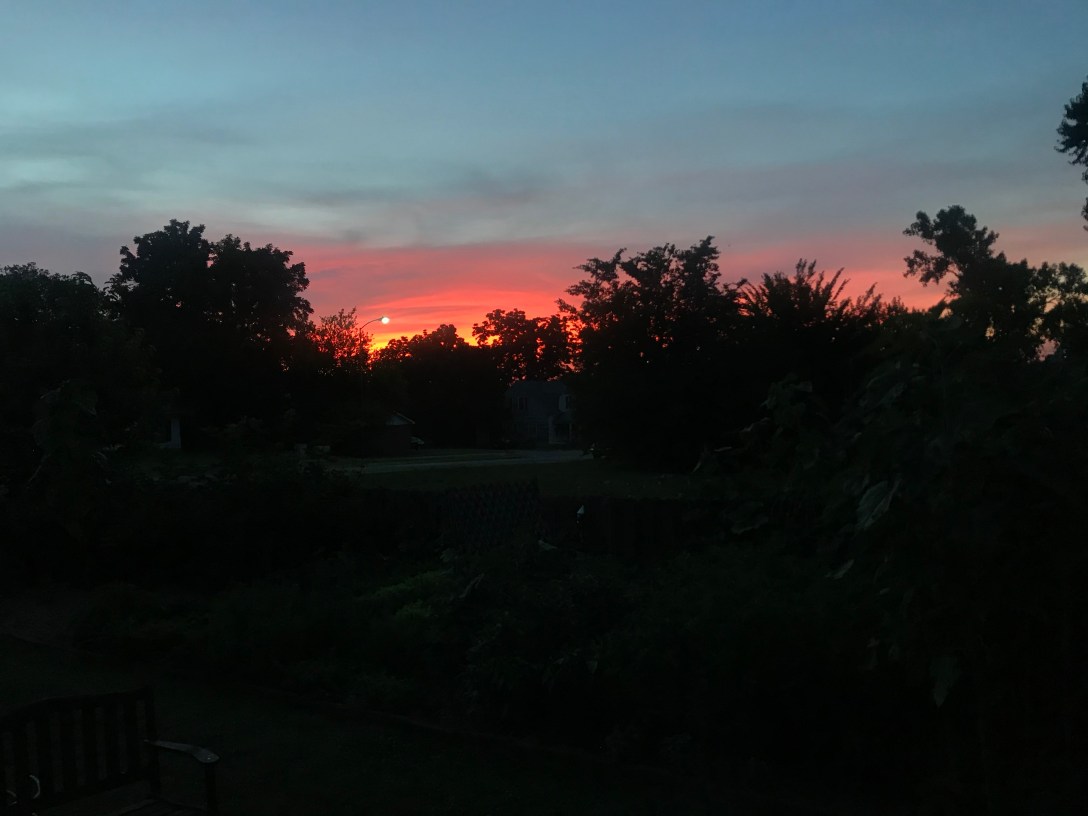 C1CA7217-1094-440A-8CE7-01C57F0C1F60