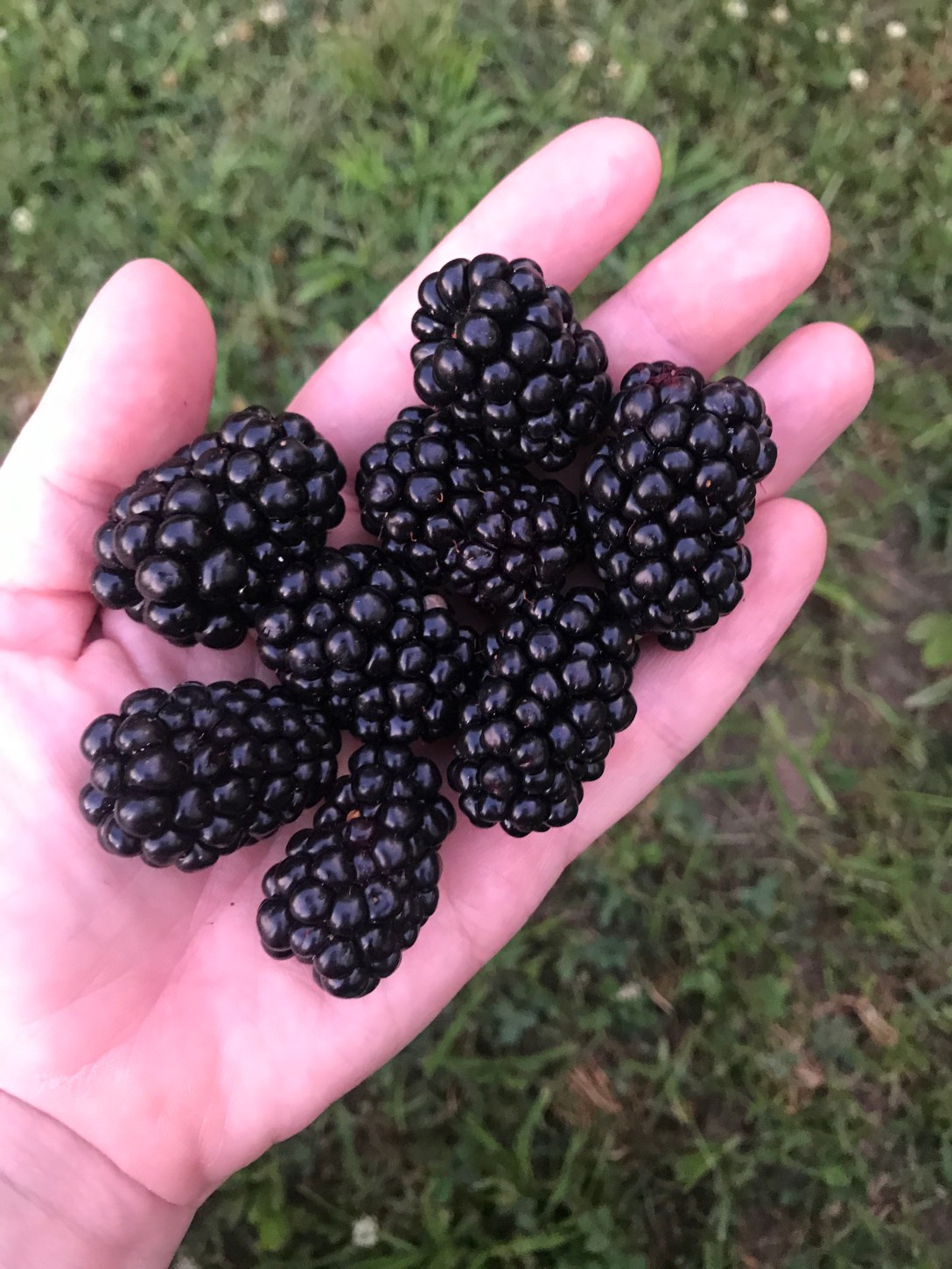 CADBEF4D-5D25-4DE7-A6C5-AE121EB78BE6