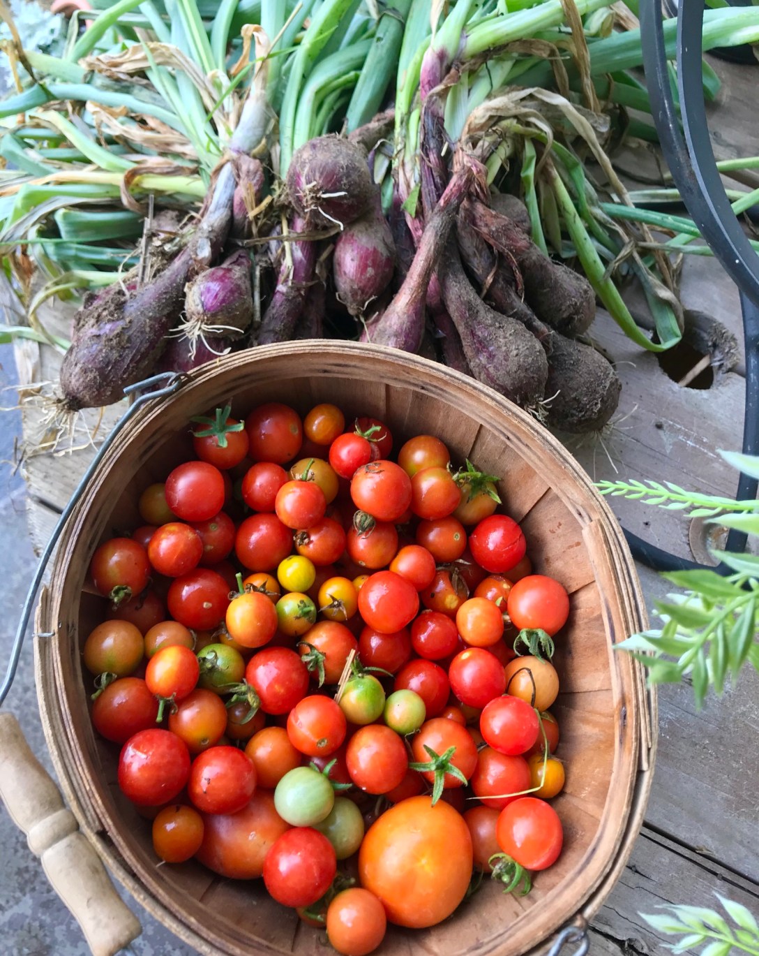 E9F346AF-C67E-4CFB-9B1B-A2F5F847EB76