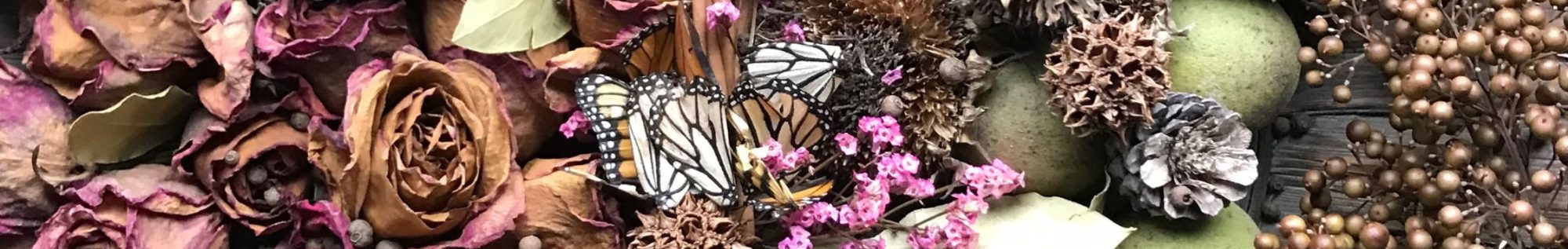 SHE GILDS THE LILY: a lavish waste of words and wonder